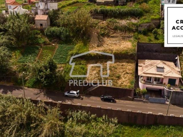 Calheta Ilha da Madeira 102250002