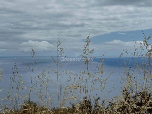 Calheta Ilha da Madeira LS86007059
