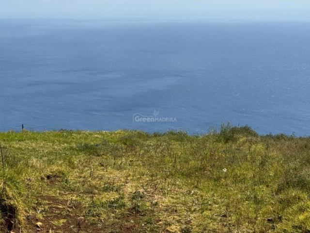 Calheta Ilha da Madeira LS86007065