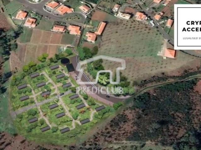 Calheta Ilha da Madeira LS86681203