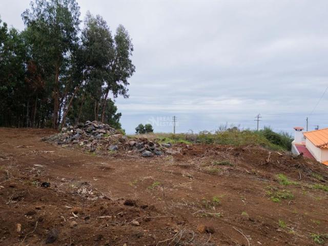 Calheta Ilha da Madeira LS95904342