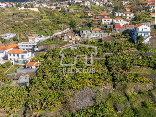 Calheta Ilha da Madeira LS98439330