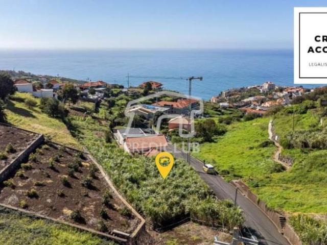 Calheta Ilha da Madeira LS99932305