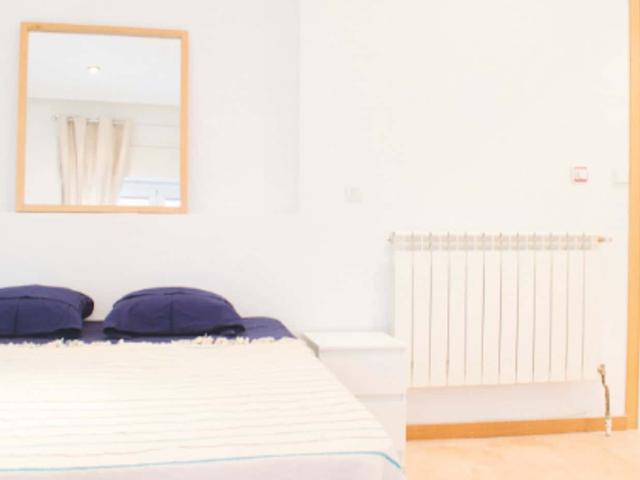 Calle de Evaristo San Miguel 19, room 1