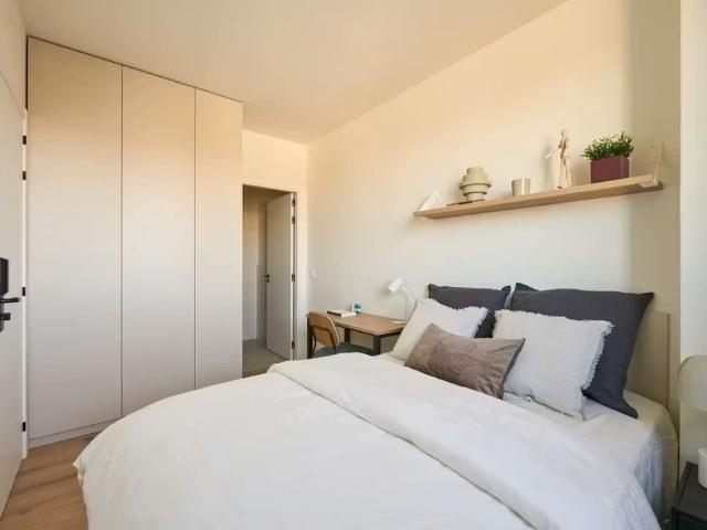 Calle de Perdiguera, Alcobendas, Community of Madrid 28108