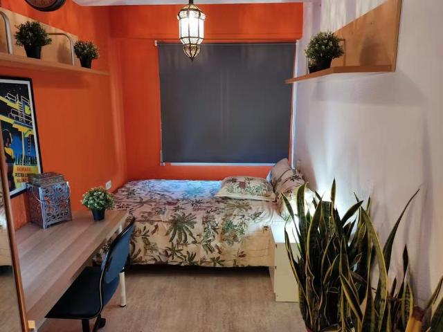 Calle Doctor Domagk, Valencia, Valencian Community 46006