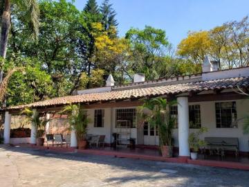 CALLEJÓN NUEVA REFORMA 5,200 m2 de terreno con alberca
