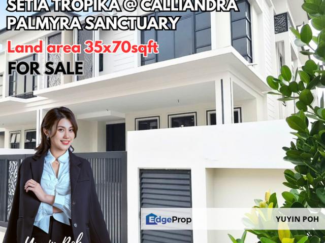 Calliandra