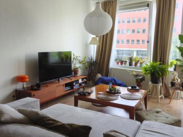 Calm room in Amsterdam West