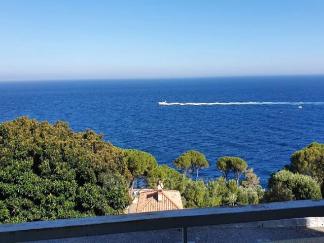CAP D'AIL TERRASSE VUE MER GRAND BOX EN SUS