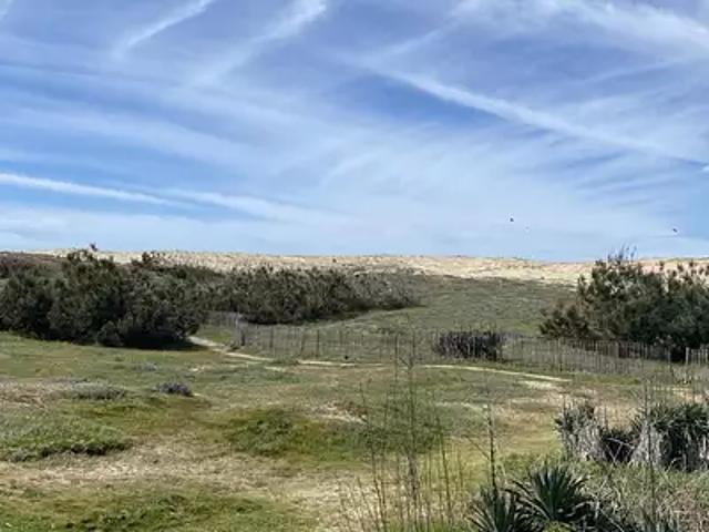 Cap Ferret 33970 Achat / Vente maison 4 pièces t4 jardin terrasse