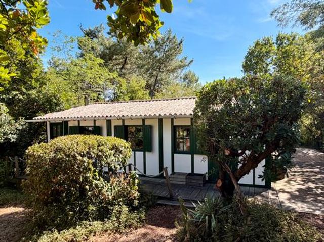 Cap ferret 44 hectares 2 ème ligne plage du mimbeau ensemble de 5 cabanes bois