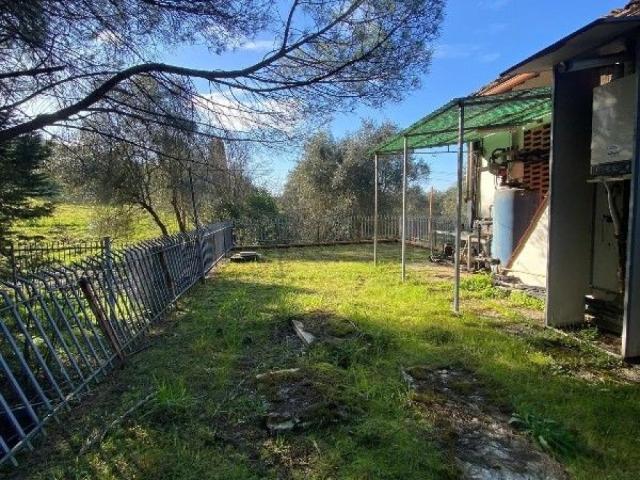 Capannone con giardino a Empoli