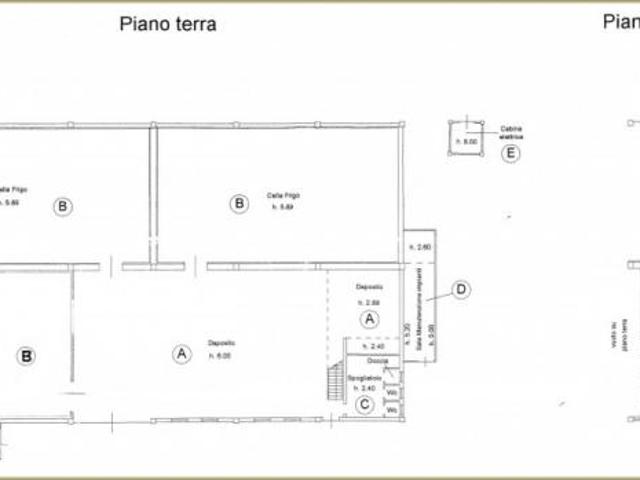 Capannone a Mogliano Veneto Rif. CP 173V