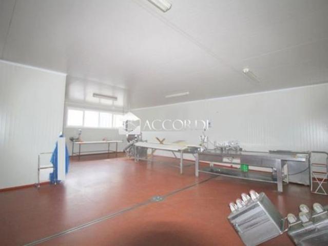 CAPANNONE di 4 vani e di 548 mq CISON DI VALMARINO rif. BC05