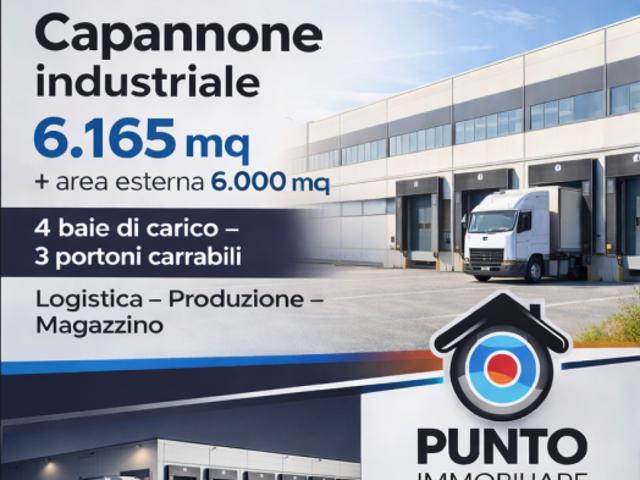 Capannone / Fondo in affitto a Castello d'Argile
