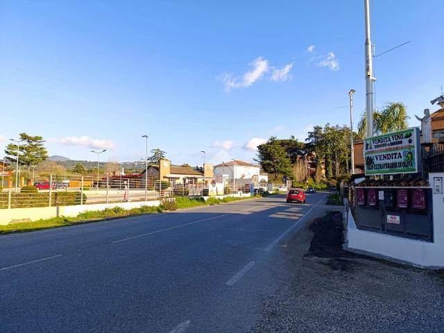 Capannone in affitto a Marino