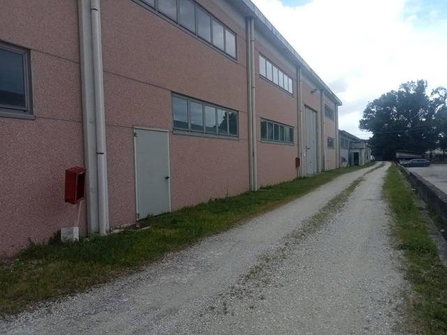 Capannone in affitto a Mombaroccio