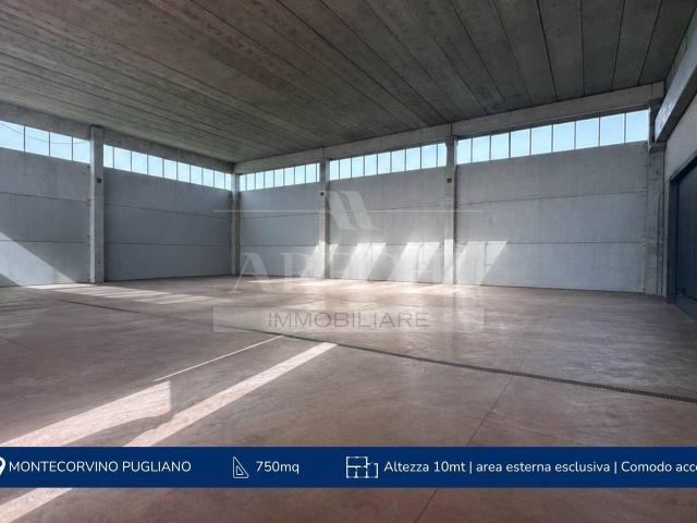Magazzino in affitto a Montecorvino Pugliano