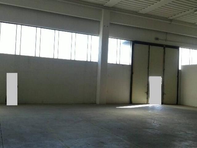 Capannone in affitto a Morrovalle