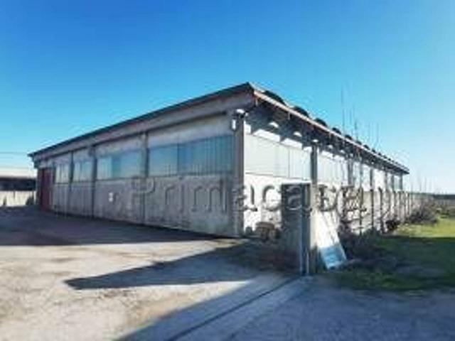 Capannone in affitto a Nogara
