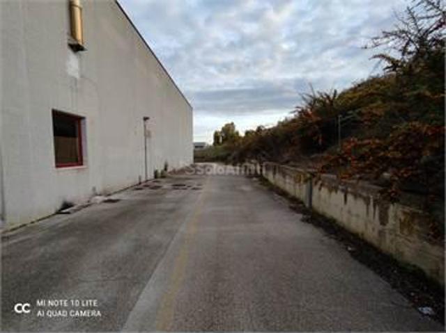 Capannone in affitto a Osimo