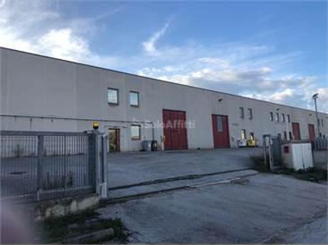 Capannone in affitto a Osimo