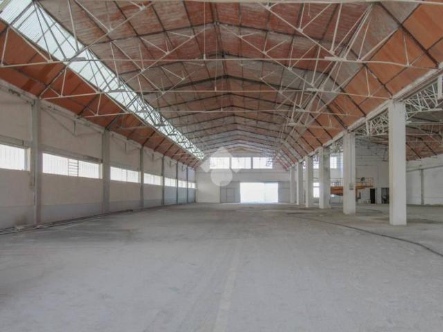 Capannone in affitto a Casalgrande