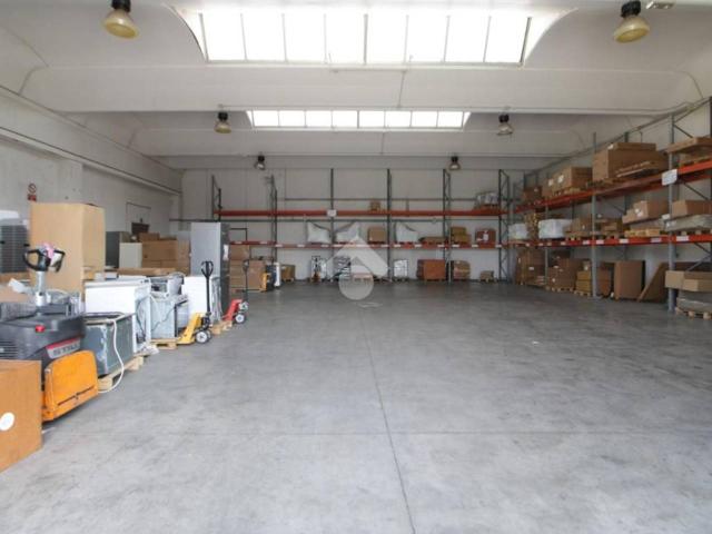 Capannone in affitto a Cascina
