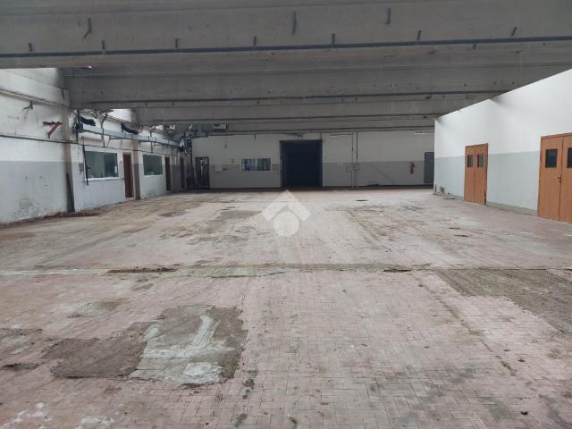 Capannone in affitto a Caronno Pertusella