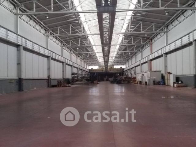 Capannone in affitto a Collesalvetti