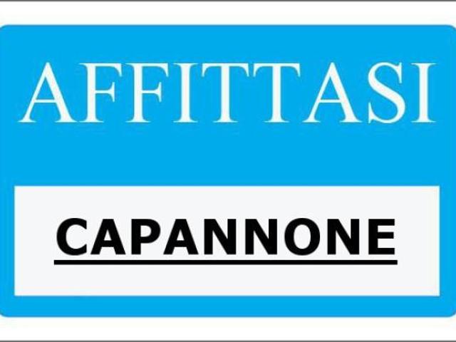 Capannone in affitto a Reggio Emilia