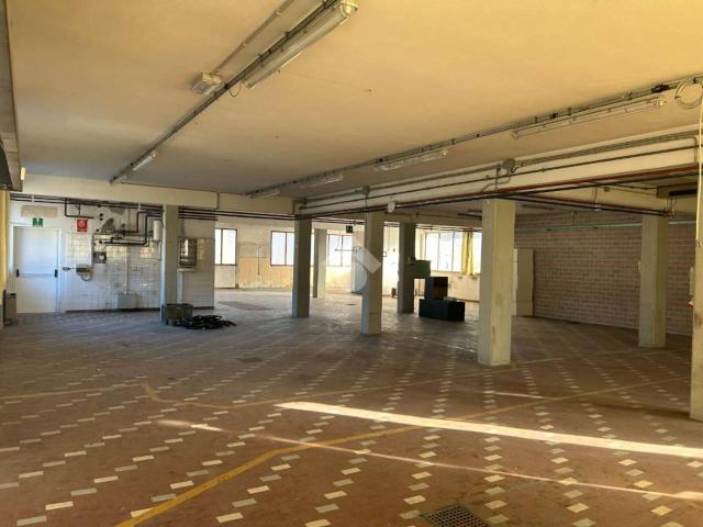 Capannone in affitto a Setteville