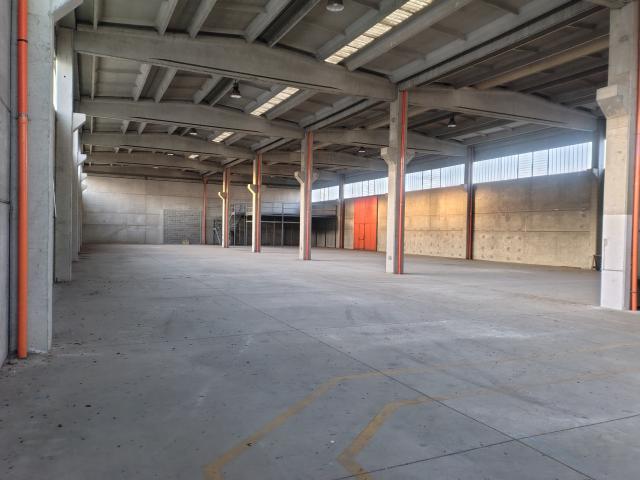 CAPANNONE in AFFITTO a VALSAMOGGIA Zona produttiva Via Lunga