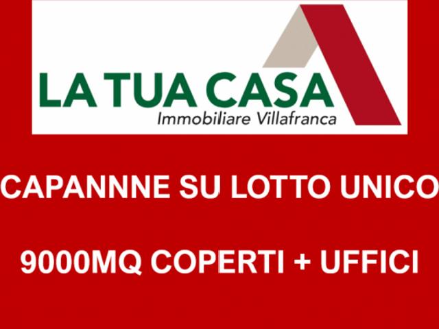Capannone in Affitto a Verona