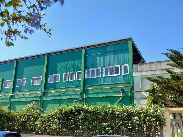 Capannone in affitto di 400 m² in Via Pietro Mascagni