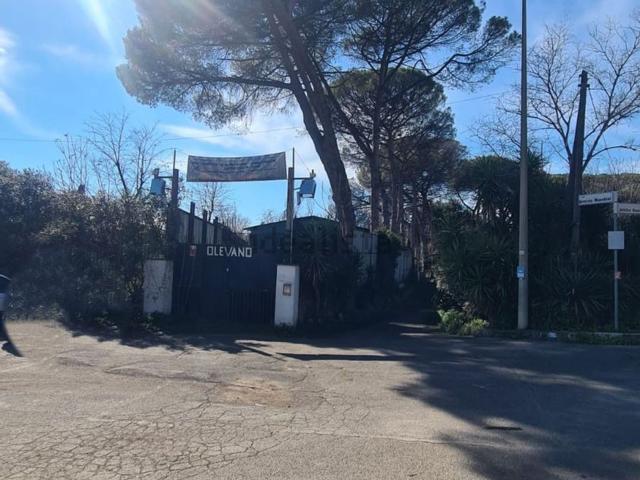 Capannone in affitto di 450 m² in Via Attilio Benigni, 90