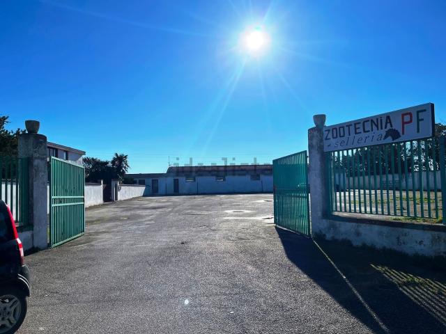 Capannone in affitto di 450 m² in Via troia, 530