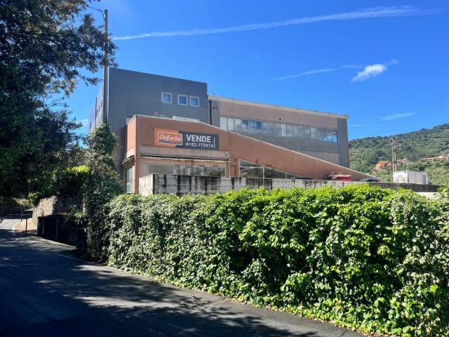 Capannone in affitto di 550 m² in Via Nazionale