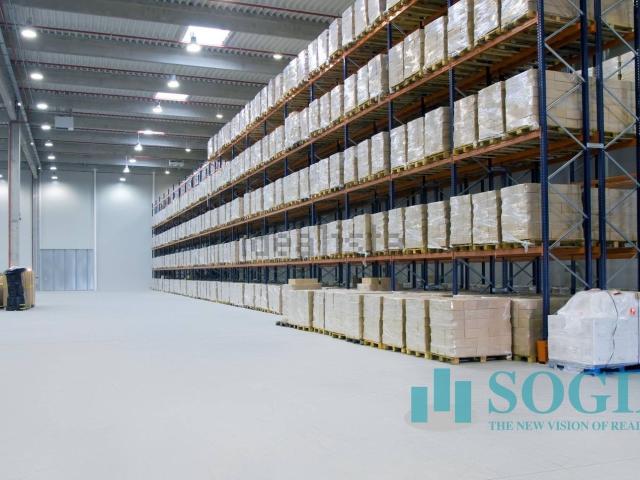 Capannone in affitto di 6000 m²