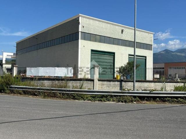 Capannone in affitto di 725 m²