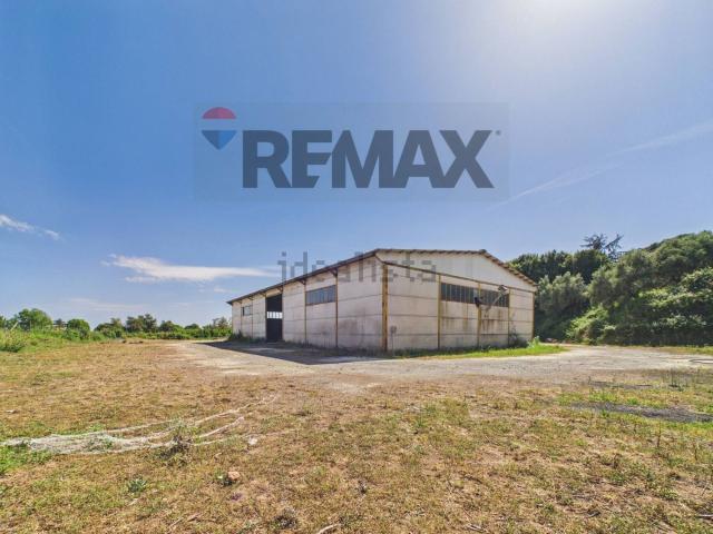 Capannone in affitto di 730 m²