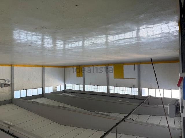 Capannone in affitto di 750 m² in Via Giuseppe Massarenti, 36