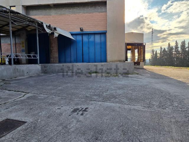 Capannone in affitto di 1000 m² in Strada Vecchia del Pinocchio