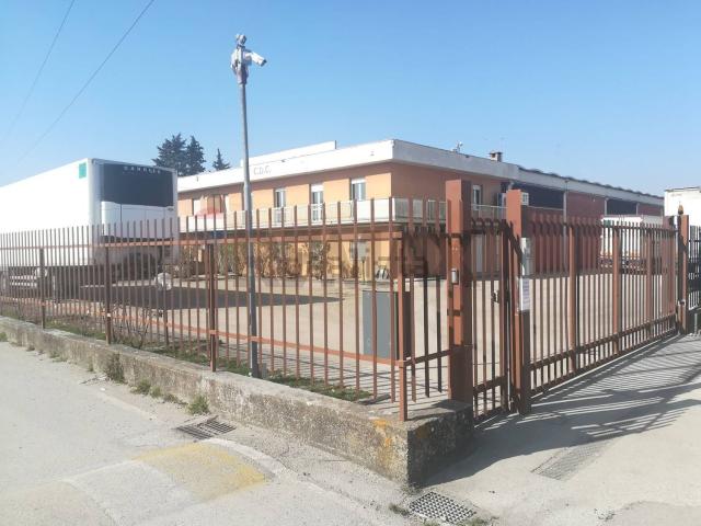 Capannone in affitto di 1048 m² in Via Alessandro Monteneri, 37