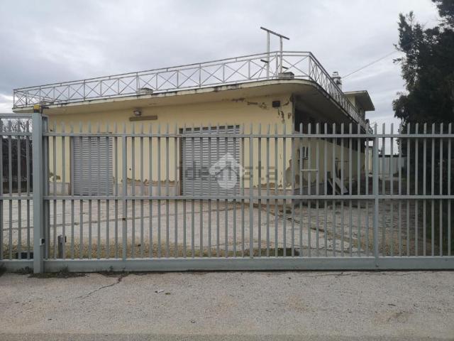 Capannone in affitto di 1277 m² in Strada del Salice Nuovo