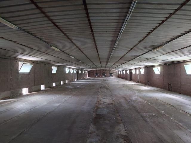 Capannone in affitto di 1745 m²