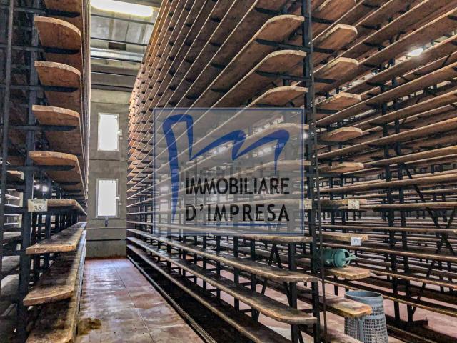 Capannone in affitto di 1800 m² in Via Cremonese