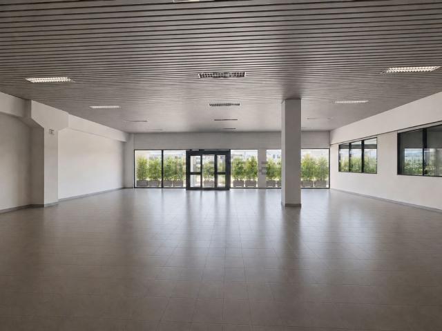 Capannone in affitto di 2100 m² in Via Atheste