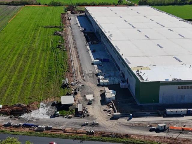 Capannone in affitto di 30000 m² in Strada Alessandria